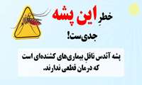 خطر پشه آئدس را جدی بگیریم!!!